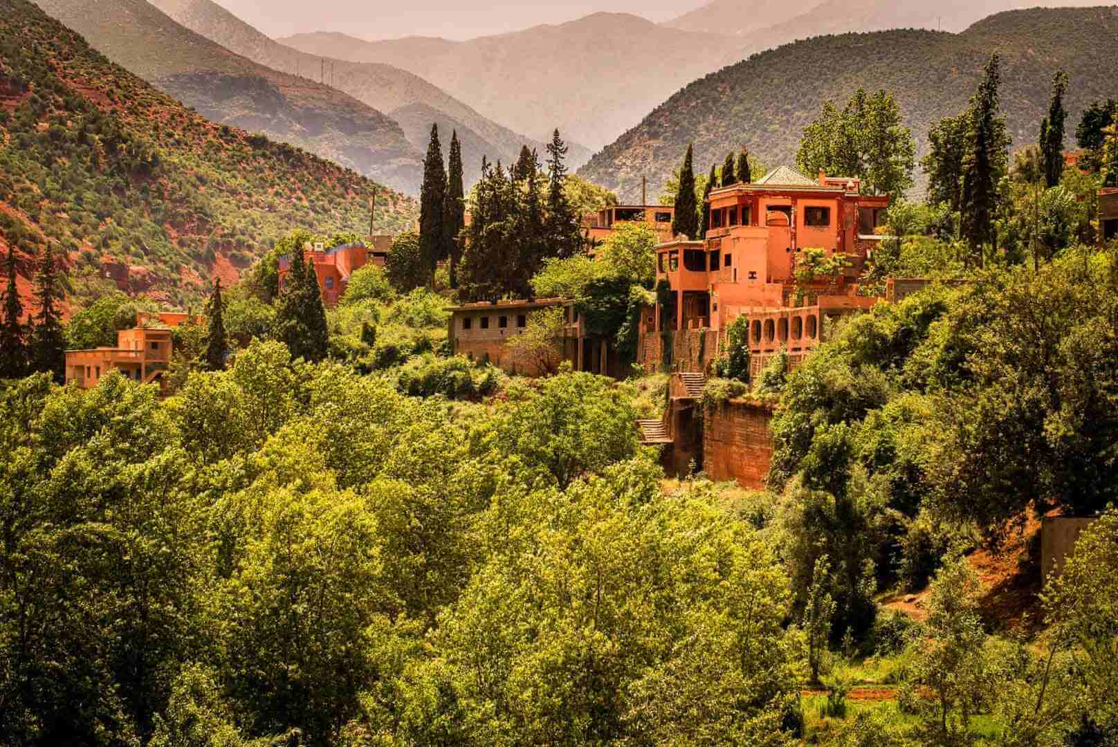 Travel with Zouhir
